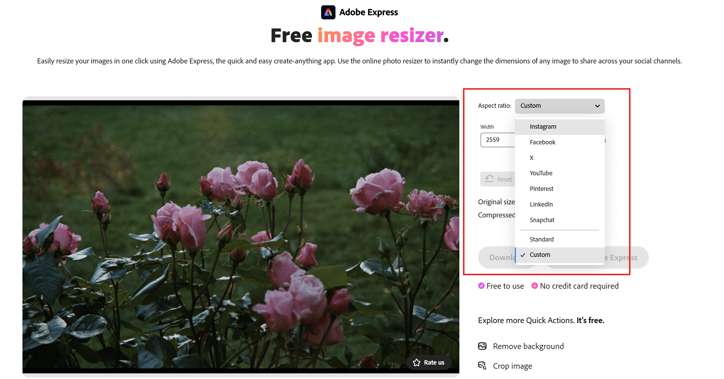 Adobe Express Image Resizer