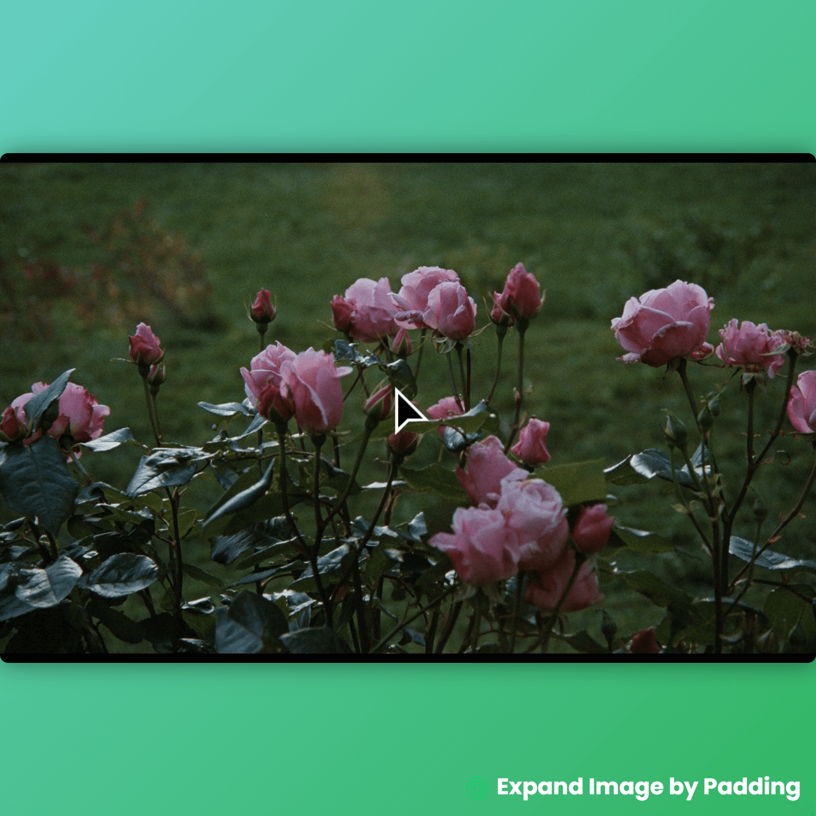 Expand Images by Padding