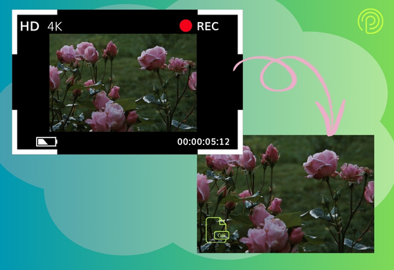 Turn Screen Recording to GIF Online